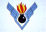 Logo du SSA